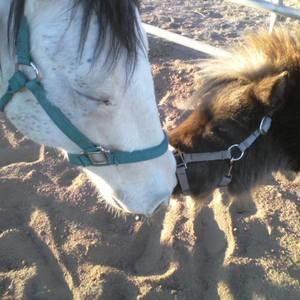 Meet your Posher, Leann